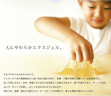 たびざぶ エクスジェル EXGEL シートクッション 座布団 体圧分散 コンパクト 新幹線 飛行機 クッション 送料無料 おしゃれ ざぶとん クライン / エクスジェル たび・ざぶL