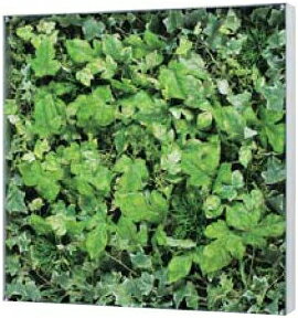 リーフパネル 絵画 壁掛けパネル 造花 インテリアアートパネル 観葉植物 デザインパネル グリーン おしゃれ アジアン 北欧 モダン 新築祝い 国産 日本製 送料無料 通販 GR3114 【ori】【smtb-f】