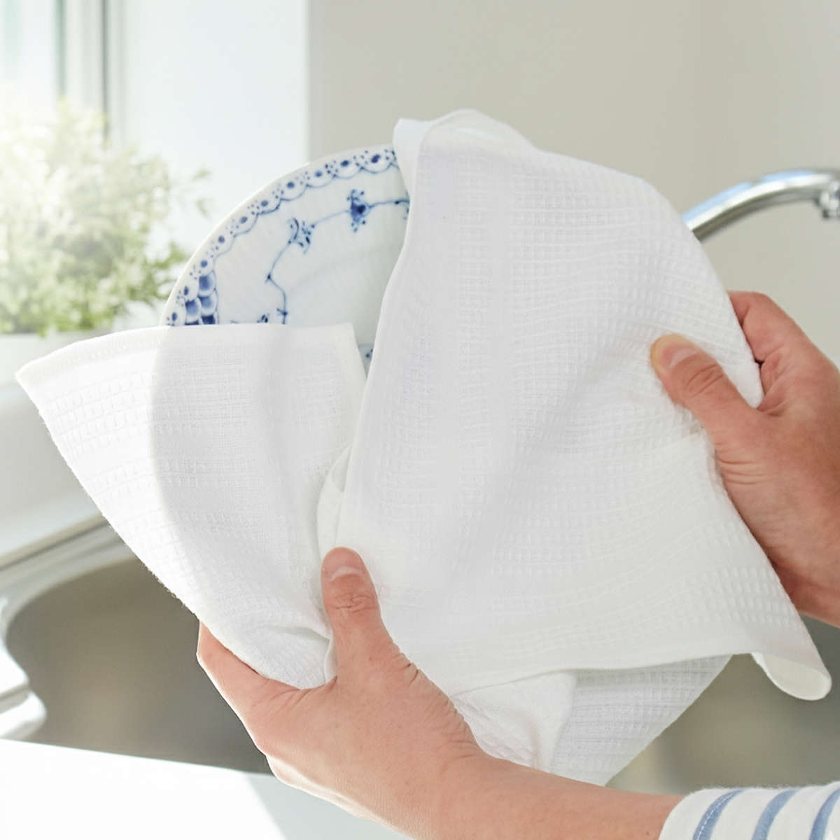 布巾 ホテル仕様 キッチン ふきん 播州製 1枚入り 大判サイズ （ 40cm 50cm フキン 綿 ...