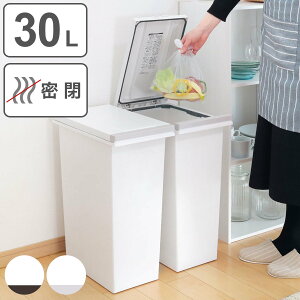 ゴミ箱 30L 密閉 プッシュ式 ふた付き 2個セット