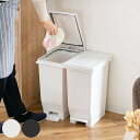 ゴミ箱 20L 密閉ペダルペール エバン ( ごみ箱 20リットル ニオイ漏れ 防止 密閉 スリム シンプル 分別 ペダル式 パッキン EBAN 袋止め付き 踏...