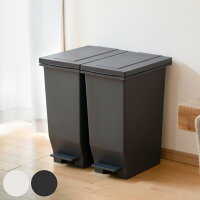 ゴミ箱 30L 同色2個セット 密閉 エバンペダルペール ( 送料無料 45L袋対応 30リットル 30l ごみ箱 ダストボックス ペダル 密閉パッキン ふた付き シンプル キッチン 分別 スリム パッキン付き 臭い 臭い漏れしにくい 生ゴミ おむつ )【39ショップ】