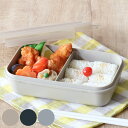 弁当箱 650ml ランタス 1段 パッキン一体型 ( ランチボックス 抗菌加工 レンジ対応 食洗機対応 冷凍 パッキン一体 レンジOK 食洗機OK お弁当 弁...