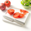 フチ付きまな板 ミニ leye レイエ 食洗機対応 日本製 ( プラスチックまな板 まないた 俎板 両面 白 フチ付き 肉汁 果汁 こぼれにくい 正方形 小さめ 下ごしらえ 便利 軽い キッチンツール 調理道具 シート付き )【39ショップ】