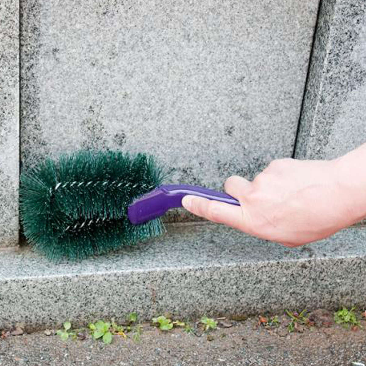 �������� ������ ������ �֥饷 �� �����ѥ֥饷 ���ݥ֥饷 �ݽ����� ��� �� ���� ���� �ݽ� �������� ���� ƻ�� ������Ȥ� ���� �ݽ����å� ���� ���� ���� �����᤭ �ˡ�39����åס�