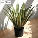 人工観葉植物 アガベ 50cm フェイクグリーン 造花 （ 送料無料 観葉植物 フェイク 人工植物 アートグリーン 緑 グリーン 癒し リラックス 植木 樹木 人工 枯れない 水やり不要 簡単 おしゃれ インテリア 飾り プランター ） 【39ショップ】