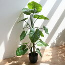 人工観葉植物 クワズイモ 117cm フェイクグリーン 造花 （ 送料無料 観葉植物 フェイク 人工植物 アートグリーン 緑 グリーン 癒し リラックス 植木 樹木 人工 枯れない 水やり不要 簡単 おしゃれ インテリア 飾り プランター ） 【39ショップ】