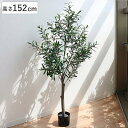 人工観葉植物 オリーブ 152cm フェイクグリーン 造花 （ 送料無料 観葉植物 フェイク 人工植物 アートグリーン 緑 グリーン 癒し リラックス 植木 樹木 人工 枯れない 水やり不要 簡単 おしゃれ インテリア 飾り プランター ） 【39ショップ】