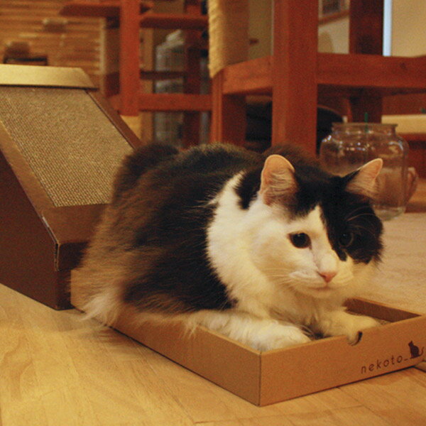 キャットハウス 三角屋根 またたび 爪とぎ付き 猫 ペットハウス nekoto 変形爪とぎハウス ( ネコ ねこ 猫用品 爪とぎ 屋内 室内 猫用 ハウス 家 ...