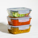 保存容器 660ml 耐熱ガラス保存容器3P レクタングル ( ガラス 密閉 電子レンジ対応 食洗機対応 オーブン対応 4点ロック 角型 耐熱容器 保存 容器 ...