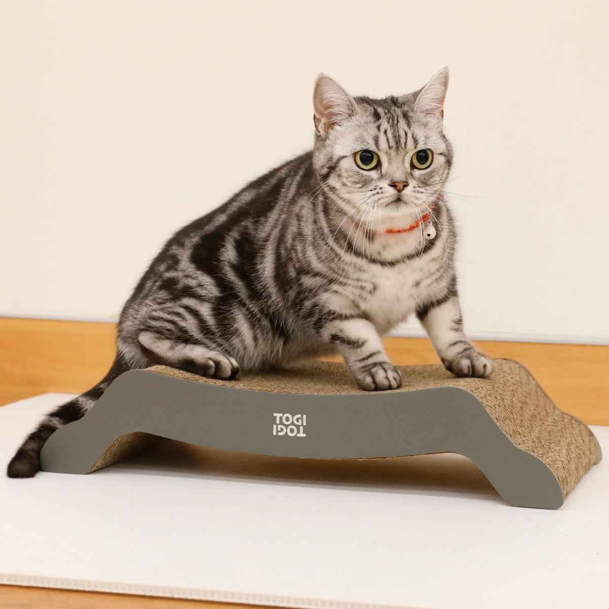 レザー調爪とぎ TOGITOGI ベッド hachi ( 猫 ねこ ネコ 爪とぎ 段ボール レザー調 猫用品 爪研ぎ つめとぎ ダンボール 爪磨き 爪みがき つ...