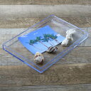 トレー 小 クリア プラスチック 透明 収納 デスコシリーズ 玄関トレー 約 幅23×奥行14.8×高さ2cm ( トレイ 収納ケース 収納トレー 玄関トレイ おしゃれ クリアケース 日本製 )【39ショップ】