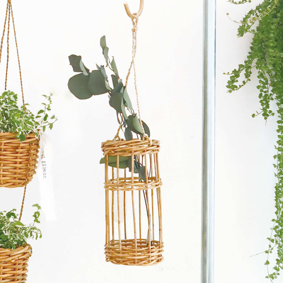 ȭ���С� ��������Ĥ겼������ D ľ��11�߹⤵23cm �� ���� ���� ��Ǽ �饿�� ������� ŷ���Ǻ� ��Ǽ���� ���Ԥ� ����ȭ���С� �Ĥ겼������ �ߤ�...