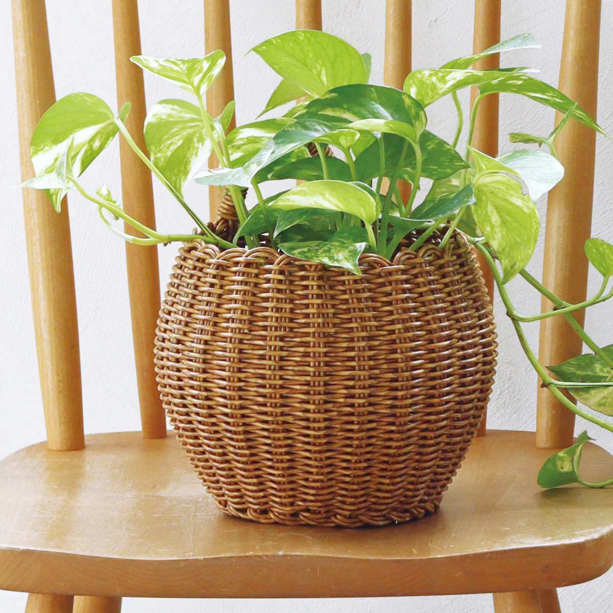 �ݥå� ��ƥ��� L �� ���� ���� ȭ�ݥå� ��ü��դ� �Х����å� ���Ԥ� �Ĥ겼������ �ߤ겼�� �Ĥꤵ�� ���� ��ʪ ���С� L������ �ˡ�39����å�...