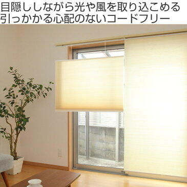 ロールスクリーン オーダーメイド ハニカムシェード コードフリートップスライド 幅110.5〜120×高さ81〜100cm ( 送料無料 オーダー サイズオーダー 1cm単位 コードフリー 目隠し 調光 仕切り ハニカム形状 断熱 )【39ショップ】