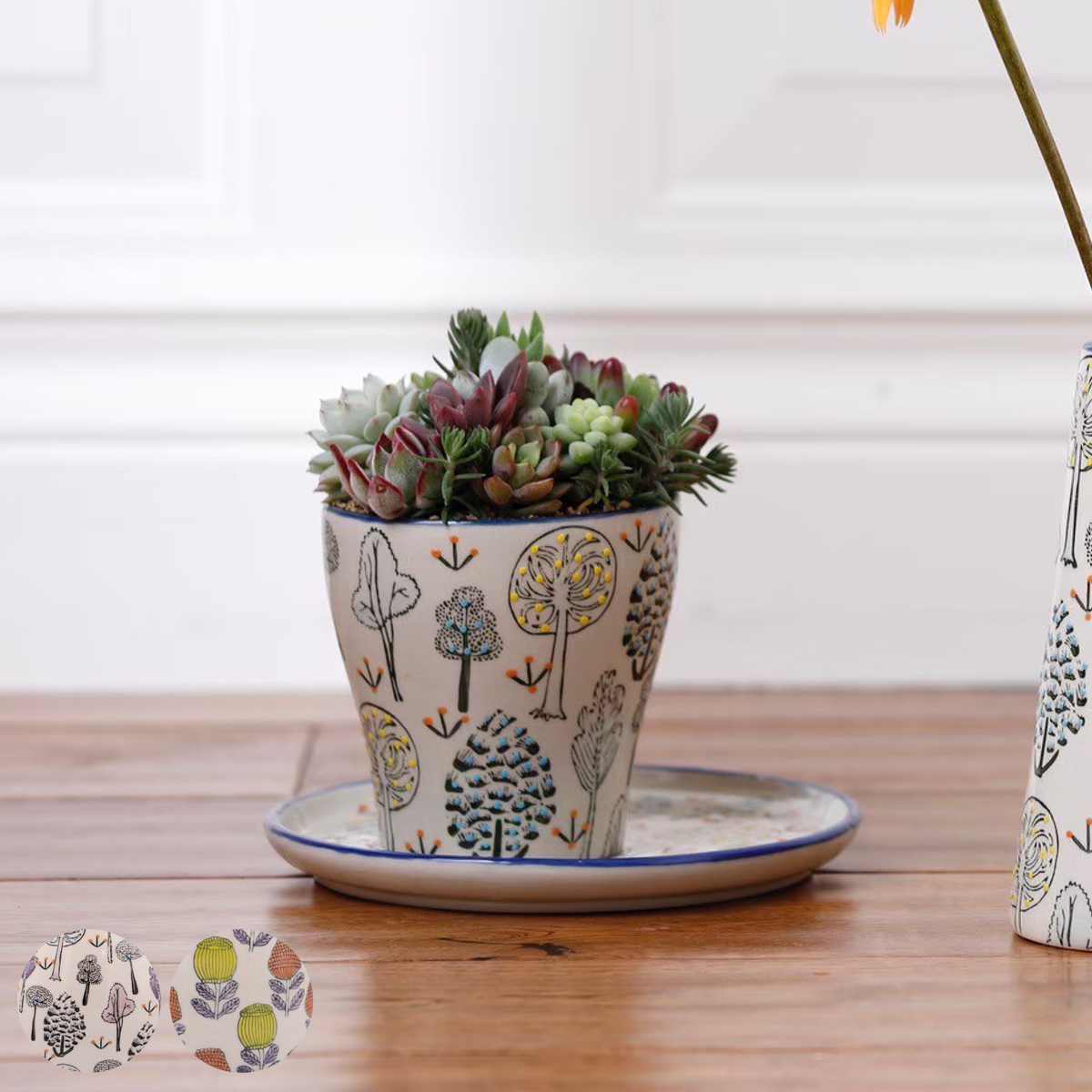 ����ȭ �ݡ���å���ݥå� D �������դ� �� �ե��ݥå� �ץ��ȥݥå� �ץ�󥿡��ݥå� ȭ ȭ���� ƫ�� ƫ���� ����ƥꥢ �����ؤ� ������� ����...