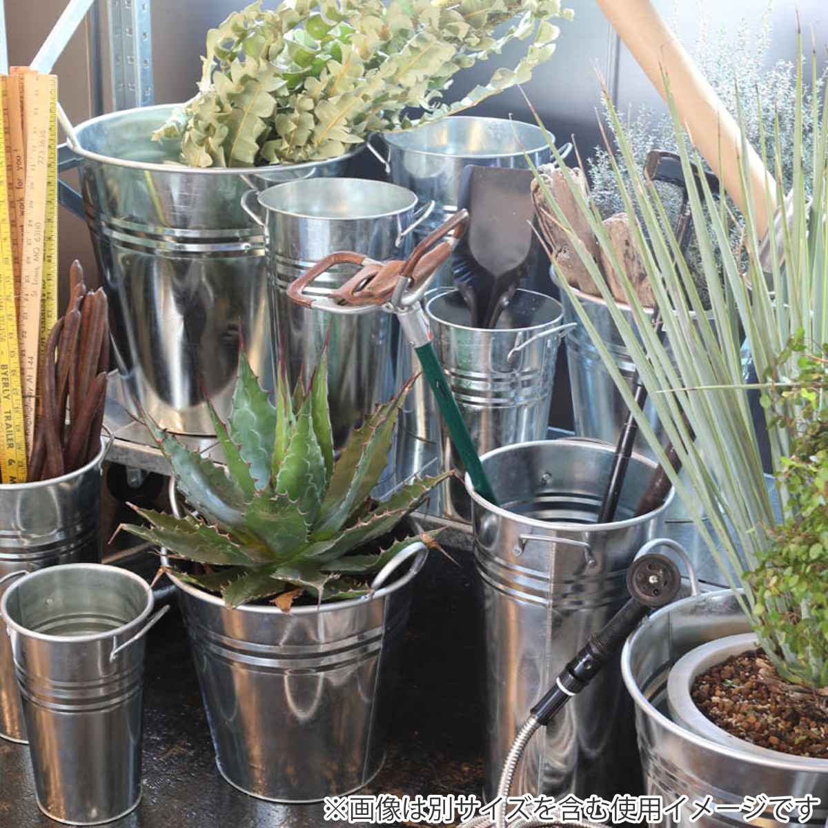 ����ȥ� ȭ���С� �ե��Х����å� ���� M������ �������� �� DULTON �ֲ� �ץ��ȥݥå� ��ʪ�ѥݥå� �ִ� �ݥå� �� ���󥰥Х��� ����ȭ���С� ��ʪ �� ���տ�ʪ �� ��� ����ƥꥢ �ֻ�� �Х��� �� ��39����åס�