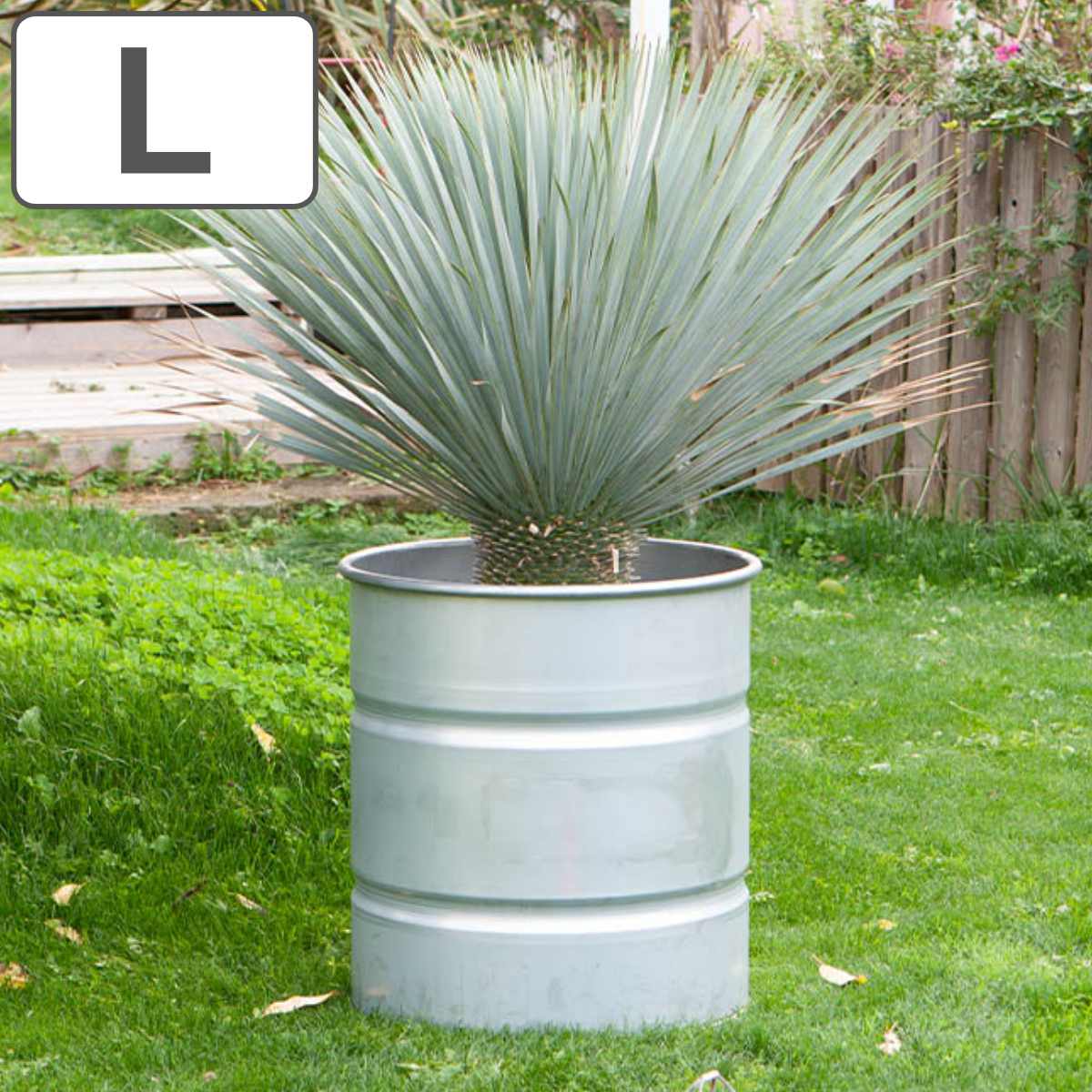 ダルトン 鉢 ガルバナイズド タンク L ( DULTON 鉢カバー ポットカバー 植木鉢カバー 植木鉢 プランター カバー プランターバスケット 円形 筒型 ...