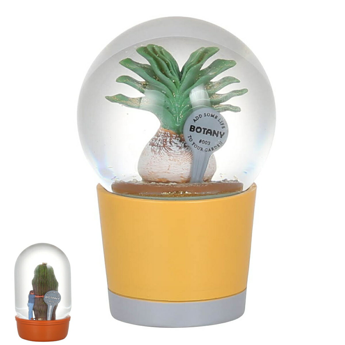 プランツ ウォーター ブーファン カクタスウィズマン （ オブジェ 置き物 ガラスドーム 多肉植物 ダルトン 小物 雑貨 インテリア おしゃれ スノードーム風 飾る かわいい 可愛い 玄関 リビング 卓上 トイレ ニッチ ）【39ショップ】