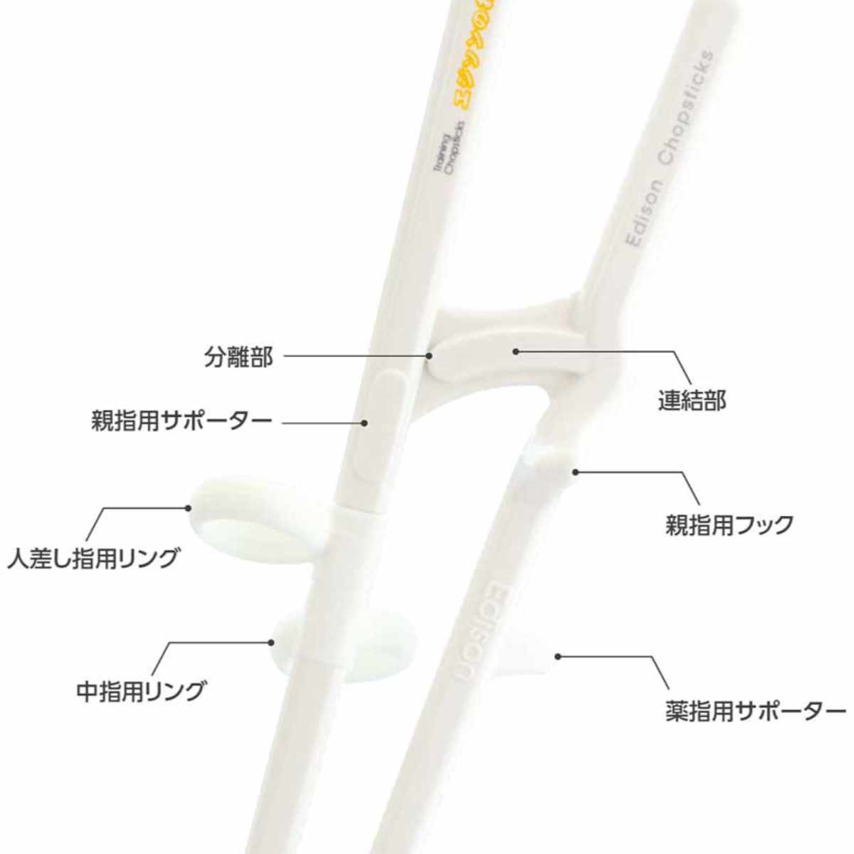 �ȥ졼�˥�Ȥ 18.5cm ������ ���� ��������Τ�Ȥ �ץ饹���å� �� ��������Ȥ ��Ȥ ����Ȥ ����Ȥ Ȥ �Ϥ� ������ ���� �Ҷ� �Ҥɤ� ���å� ��Ȥ �������� ���ߤ�ù� �ˡ�39����åס�