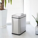 EKO ゴミ箱 9L デラックスファントム センサービン ステンレス ( ごみ箱 自動開閉 センサー 9リットル 自動ゴミ箱 小さい 片面開き イーケーオー ふた付きゴミ箱 スリム リビング キッチン 電池式 シンプル おしゃれ )【39ショップ】