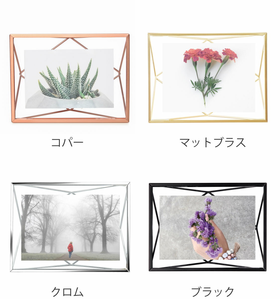 umbra �ե��ȥե졼�� KGȽ ��� �ɳݤ� �� �̿�Ω�� KG������ �ݥ��ȥ����� �ե��ȥ������ �̿�������� �ǥ����ץ쥤 �Ĳ�ξ�� �������� ����֥� �̿����� �����ȥե졼�� �ե졼�� �� �� ξ�� �� ��39����åס�