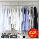 【当店限定カラー】ハンガー 衣類収納アップハンガー 幅50cm 2本組 収納 ( 衣類ハンガー クローゼット 省スペース 段違い 洋服 ハンガーラック コート収...