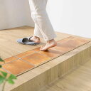 玄関マット 室内用 30×90cm テラコッタ 撥水加工 ( 玄関 マット 框 屋内 拭ける 室内 厚さ5mm キッチン 撥水 防水 抗菌 防カビ 滑り止め お...