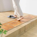玄関マット 室内用 30×120cm テラコッタ 撥水加工 ( 玄関 マット 框 屋内 拭ける 室内 厚さ5mm キッチン 撥水 防水 抗菌 防カビ 滑り止め ...