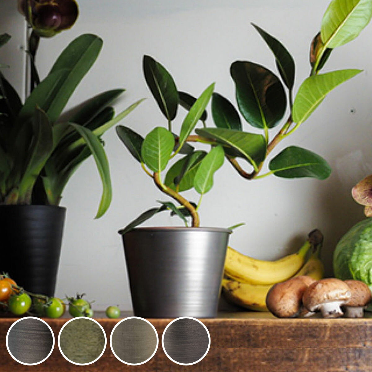 プランター MC円錐ポット 直径12×高さ9.5cm アイアン （ 植木鉢 プラントポット 植物用ポット 花瓶 花びん 花器 鉢カバー ポット 丸 円すい 卓上 スタンド 置く 植物 花 観葉植物 多肉植物 サボテン 園芸 直植え インテリア ）【39ショップ】