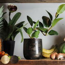 植木鉢 AM3.5ベース アルミ 直径13×高さ13cm ( プラントポット 植物用ポット 花器 鉢カバー ポット 花瓶 丸 植木鉢カバー プラスチック 植物 花 観葉植物 園芸 インテリア 底穴なし 軽量 ) 【39ショップ】