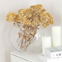 花瓶 割れないガラス PV球形 直径34.5×高さ26.5cm ( 花びん 花器 フラワーベース 球型 丸 鉢 透明 割れない ポリカーボネート プラ クリア 花 植物 植木鉢 苔 グリーン 金魚鉢型 インテリア おしゃれ 丈夫 )【39ショップ】