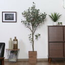 フェイクグリーン ユーカリ 高さ150cm ジョイント式 ( 人工観葉植物 大型 樹木 造花 人工樹木 観葉植物 アートグリーン 水やり不要 お手入れ簡単 植物...
