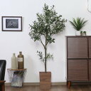 フェイクグリーン オリーブ 高さ150cm ジョイント式 ( 人工観葉植物 大型 樹木 造花 人工樹木 観葉植物 アートグリーン 水やり不要 お手入れ簡単 植物...