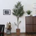 フェイクグリーン オリーブ 高さ180cm ジョイント式 ( 人工観葉植物 大型 樹木 造花 人工樹木 観葉植物 アートグリーン 水やり不要 お手入れ簡単 植物...