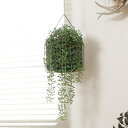 フェイクグリーン ミカヅキネックレス ハンギング 吊り下げ ( 人工観葉植物 造花 植物 観葉植物 吊るす 壁掛け アートグリーン 水やり不要 お手入れ簡単 フ...