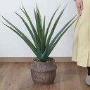 フェイクグリーン アロエ 高さ75cm セメントポット ( 観葉植物 フェイク 人工観葉植物 造花 植物 鉢植え アートグリーン 水やり不要 お手入れ簡単 リビ...