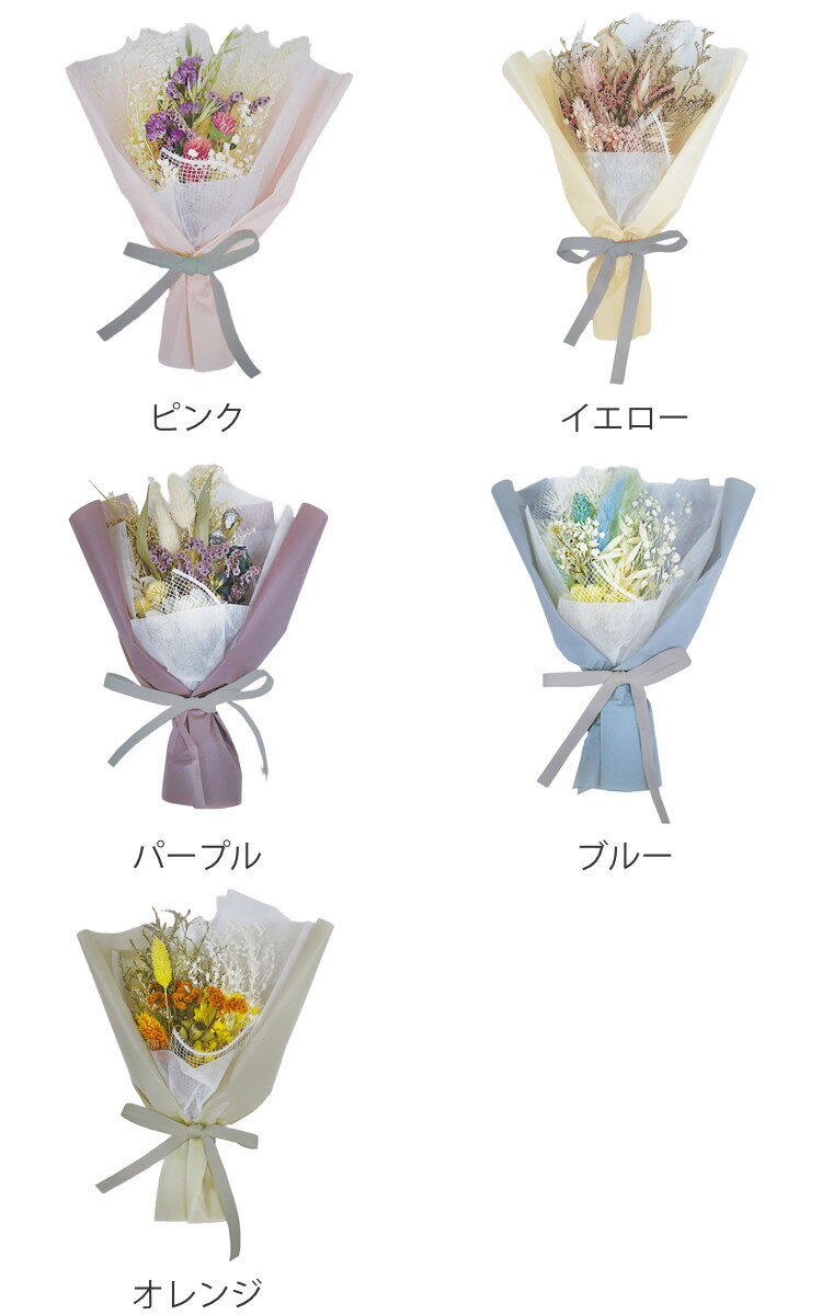 �ɥ饤�ե� ��å������֡��� S������ �� �֡��� �ߥ� ��« ��å����� �ܥå������� �� �ɥ饤�ե��֡��� ������� ���ե� £��ʪ �ץ쥼��� ������ ����� ��ǰ�� ���ˤ� ����ƥꥢ ���� ���� ��Ϸ���� �� ��39����åס�