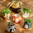 プランター アニマル ポット （ 植木鉢 プラントポット 陶器 鉢植え 鉢 寄せ植え 動物 顔 丸型 ミニ 小さい 底穴 園芸 インテリア フラワーポット ガーデニング用品 おしゃれ ） 【39ショップ】