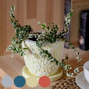 プランター クッカ ポット M ( 植木鉢 プラントポット 鉢植え 鉢 寄せ植え ソーサー 受け皿 付き 花柄 丸型 ミニ 小さい 底穴 園芸 インテリア フラワーポット ガーデニング用品 おしゃれ ) 【39ショップ】