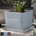 プランター プチフルール スクエアポット M ( 植木鉢 プラントポット 鉢植え 鉢 寄せ植え ソーサー 受け皿 付き アースカラー 角型 底穴 園芸 インテリア フラワーポット ガーデニング用品 おしゃれ ) 【39ショップ】