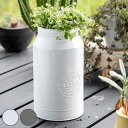 プランター モルケライ・ジャーカップ・L アイアン ( 植木鉢 プラントポット 植物用ポット 花瓶 花びん 花器 鉢カバー ポット 卓上 スタンド 置く 植物 花 観葉植物 多肉植物 サボテン 園芸 直植え インテリア ) 【39ショップ】