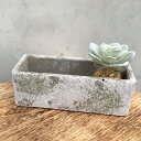 植木鉢 モスティーク レクトポット S 幅20cm ( プラントポット プランターポット 鉢 鉢植え セメント ポット 穴あり フラワーポット 水抜き穴 インテ...