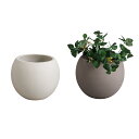 植木鉢 モノクローム ポールポット L ( フラワーポット プラントポット プランターポット 鉢 鉢植え セメント セメントポット インテリア お花 フラワー 園芸用品 シンプル )【39ショップ】