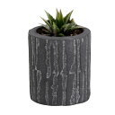 植木鉢 トロン ストレートポット ( プラントポット プランターポット 鉢 鉢植え セメント ポット 穴あり 水抜き穴 インテリア 植え替え おしゃれ 観葉植物 多肉植物 サボテン 園芸 )【39ショップ】