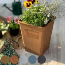 植木鉢 エコポット角型ロング 木粉入り 幅19.2×奥行19.2cm ( プランター プラントポット 植物用ポット 花器 鉢カバー ポット プラスチック ロング 四角 角型 スクエア 植木鉢カバー プラ鉢 木粉 アーブル 天然素材 エコポット ) 【39ショップ】