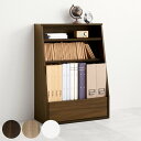 1cmピッチ可動 本棚 幅60cm ロータイプ 可動棚2枚 引出し付 ( ラック 収納 棚 1cmピッチ 可動棚 A4 A5 A4対応 デスクサイド シンプル ブラウン ナチュラル ホワイト )【39ショップ】