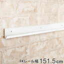 壁面収納 FKレール 幅151.5cm フィットラック ( 送料無料 棚柱 支柱 レール 約151.5cm DIY ダボレール 収納 棚受け金具 棚受けレール ...