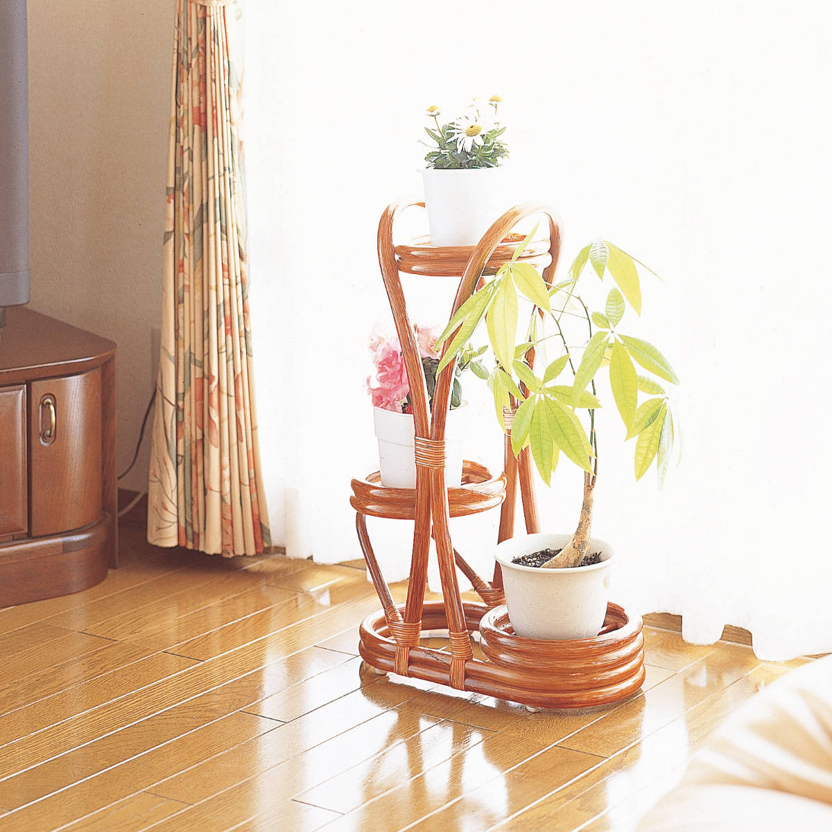 �� �ե���å� �饿���� ��40cm �� ����̵�� �ե��� ���� �ե�������� ���� �۲ȶ� �饿�� �ץ�󥿡�������� �ץ�󥿡���å� ȭ���� ��� ê �������� �ʥ����� ������ �� ��39����åס�