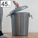 ゴミ箱 45L スーパーカン 丸型 ( ごみ箱 45リットル 屋外用 大容量 軽量 ふた付き 分別 トラッシュカン 日本製 3年保証 大きい 外用 屋外 シルバ...